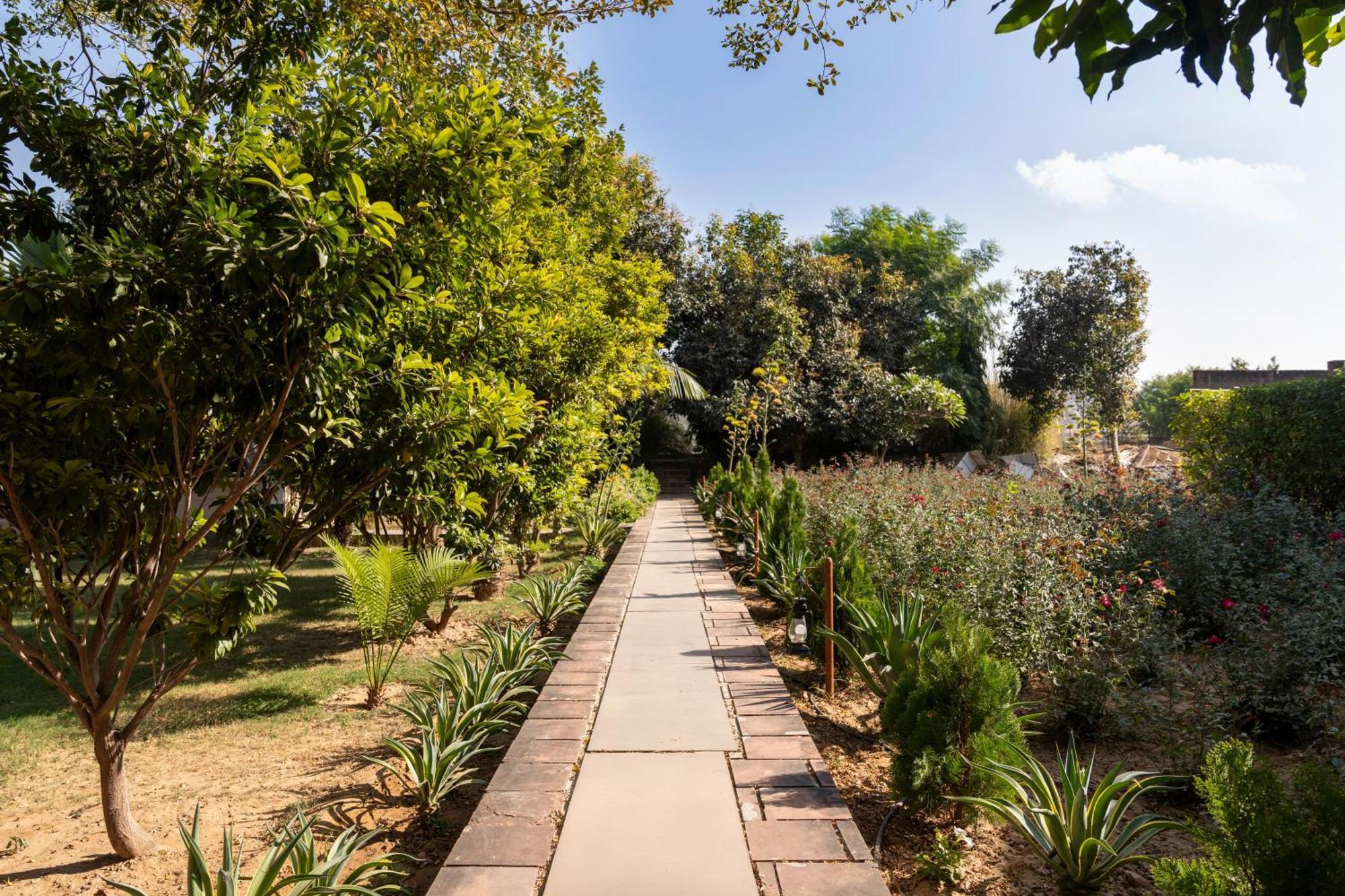 Abhyaran Resort & Spa Ranthambore Sawai Madhopur Exteriér fotografie